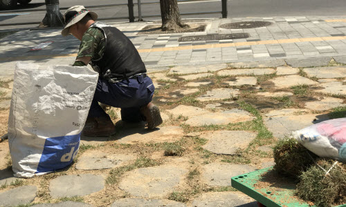 Korea08