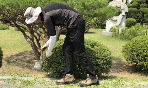 Korea18