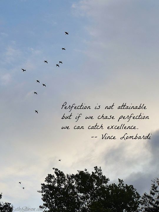 Perfection is not attainable but if we chase perfection we can catch excellence – Vince Lombardi.